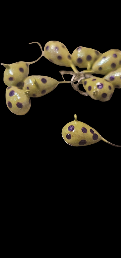 6mm Tungsten Chartreuse With Purple Spots